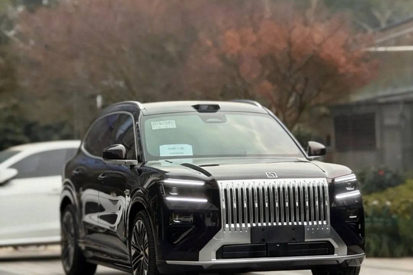 Zeekr 8x - первые подробности