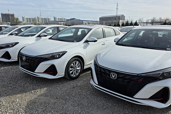 Changan Eado plus 2026 года выпуска