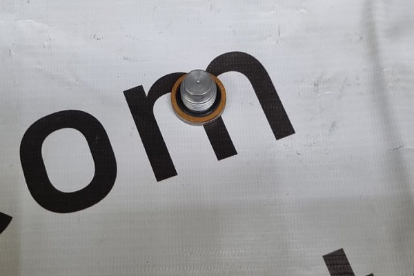 Пробка сливная ДВС Lixiang